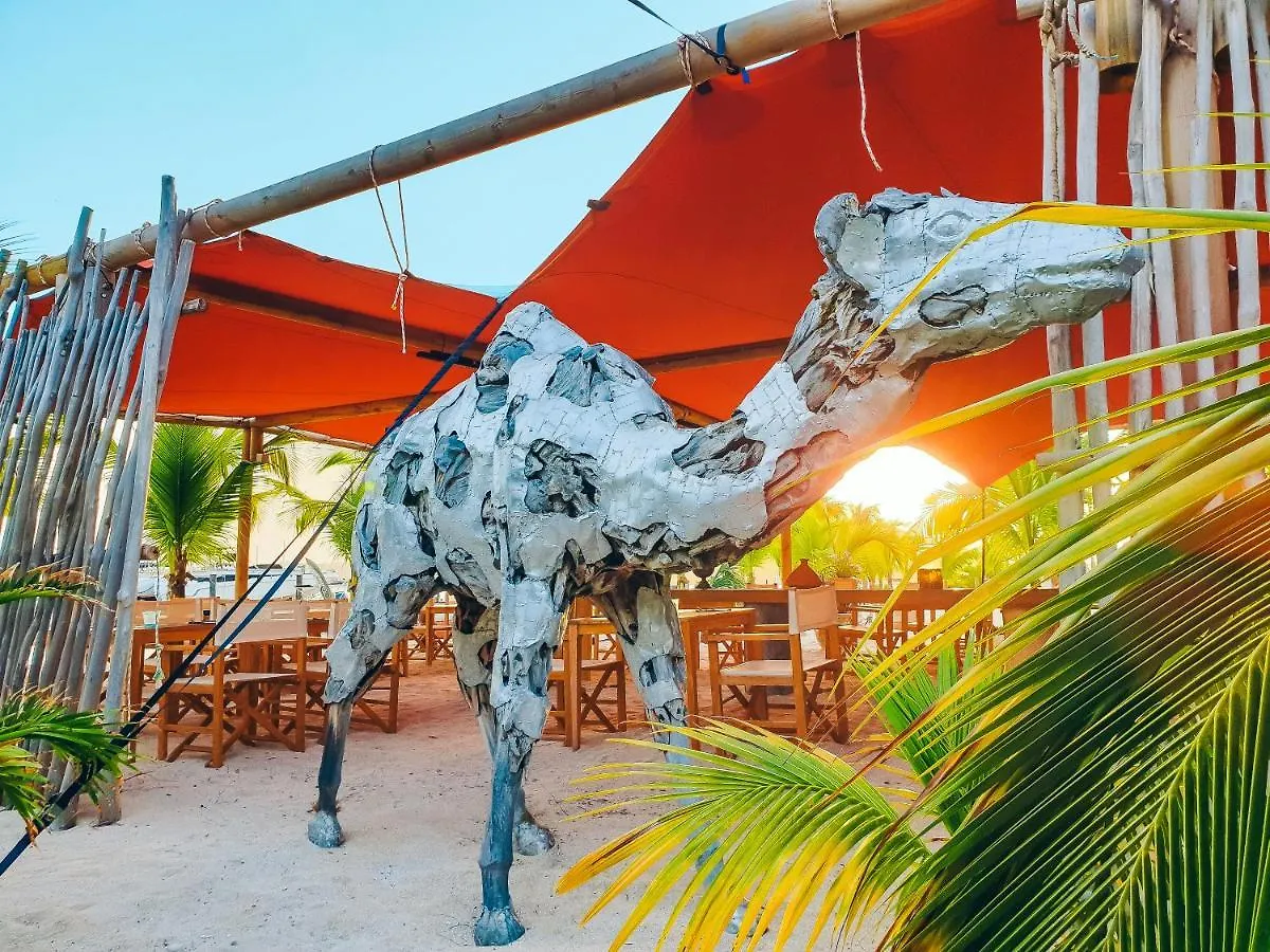 Hommage Hotel&Residences Baie Nettlé Saint-Martin